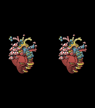Fungi Heart