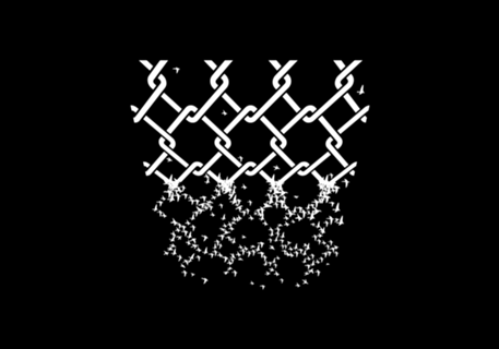 Bird Fence Minimalist