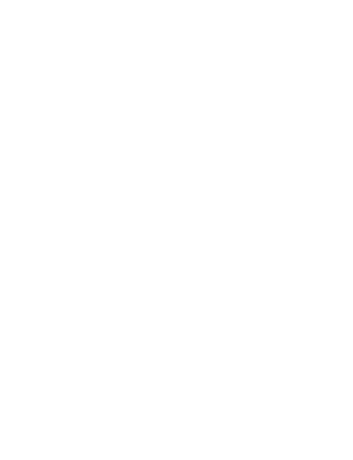 Bird Fence Minimalist