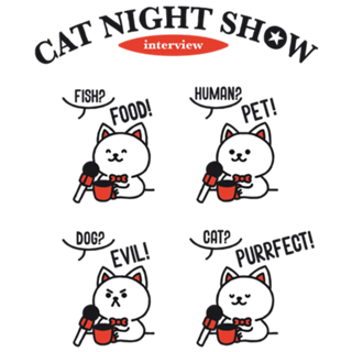 Perfect Cat Nigh Show Interview