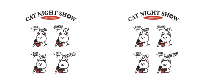 Perfect Cat Nigh Show Interview