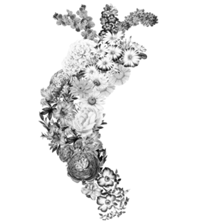 Flower Heart Spring Black and White