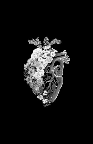 Flower Heart Spring Black and White
