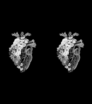 Flower Heart Spring Black and White