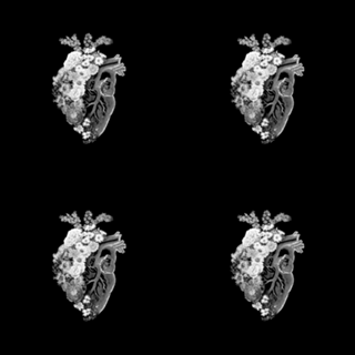 Flower Heart Spring Black and White