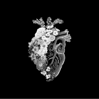 Flower Heart Spring Black and White