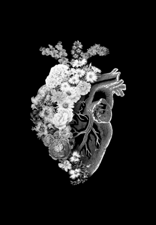 Flower Heart Spring Black and White