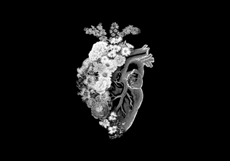 Flower Heart Spring Black and White
