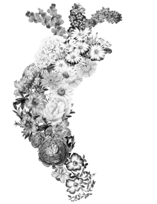 Flower Heart Spring Black and White