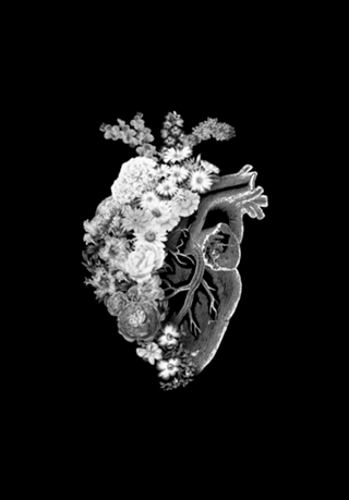 Flower Heart Spring Black and White