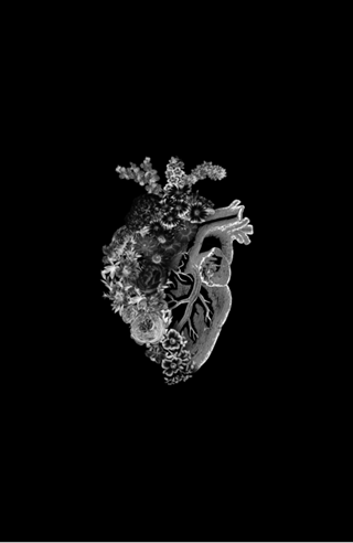 Flower Heart Spring Black and White Inverse