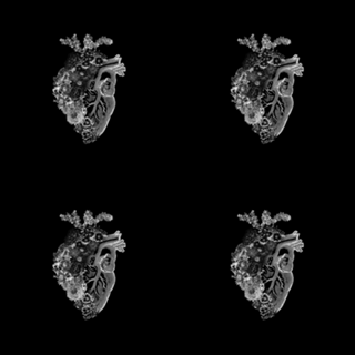 Flower Heart Spring Black and White Inverse