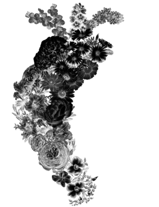 Flower Heart Spring Black and White Inverse