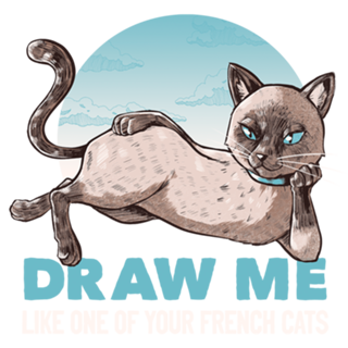 Draw Me Like One Of Your French Girls Cat Funny