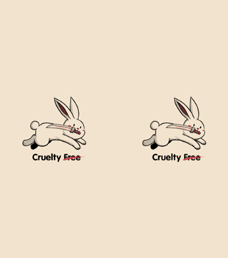 Cruelty Free Bunny Violence