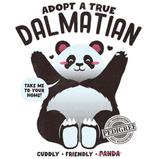 Adopt a Dalmatian