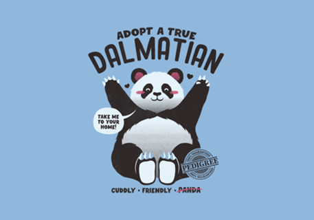 Adopt a Dalmatian