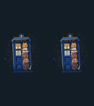 Tardis Cats (Time Travel Cats)