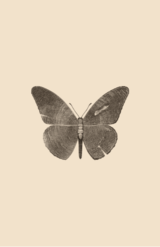 Wood Butterfly