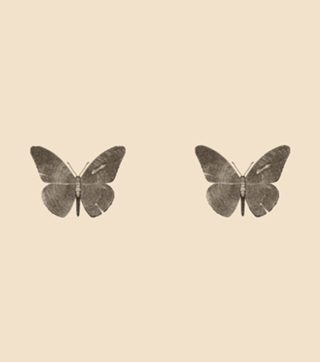 Wood Butterfly