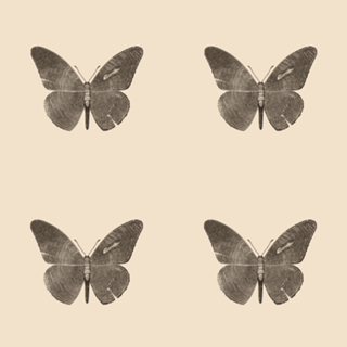 Wood Butterfly