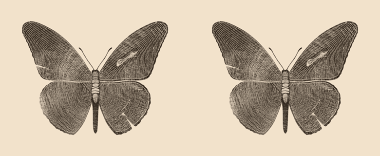 Wood Butterfly