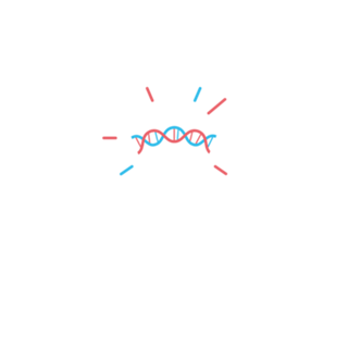 Light Bulb DNA Filament