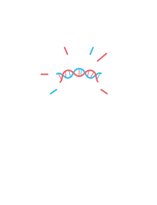 Light Bulb DNA Filament