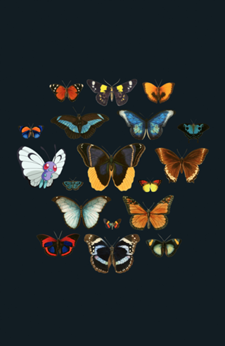 Entomology