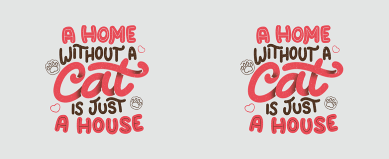 A Home Without a Cat is Just a House