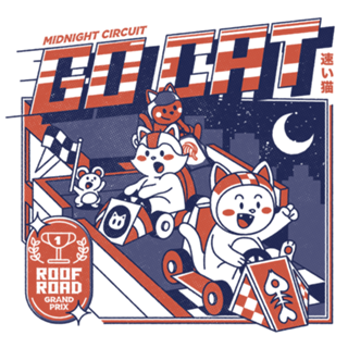 Midnight Race On Your Roof