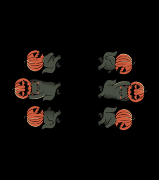Halloween Pumpkin Cats