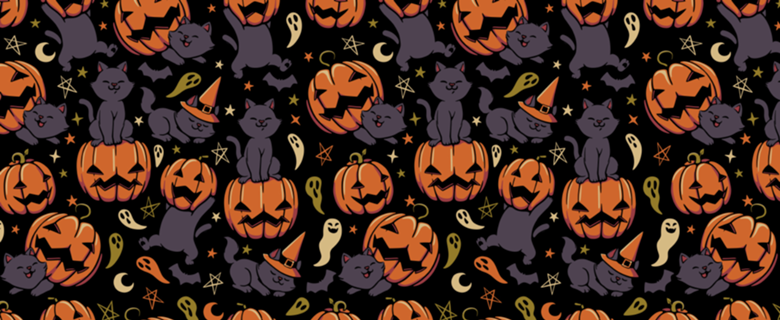 Pumpkin Field Black Cat Autumn Halloween