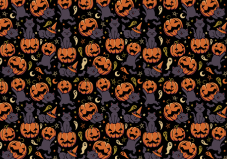 Pumpkin Field Black Cat Autumn Halloween