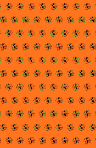 Cats and Pumpkins Kawaii Halloween