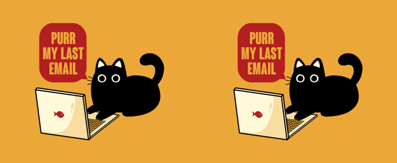 Purr My Last Email Black Cat