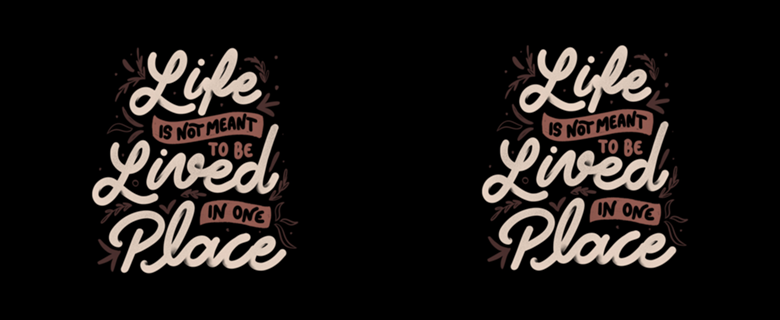Life Is Not Meant To Be Lived In One Place