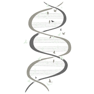 Musical DNA Birds