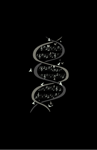 Musical DNA Birds