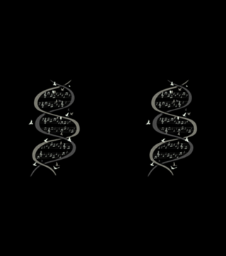 Musical DNA Birds