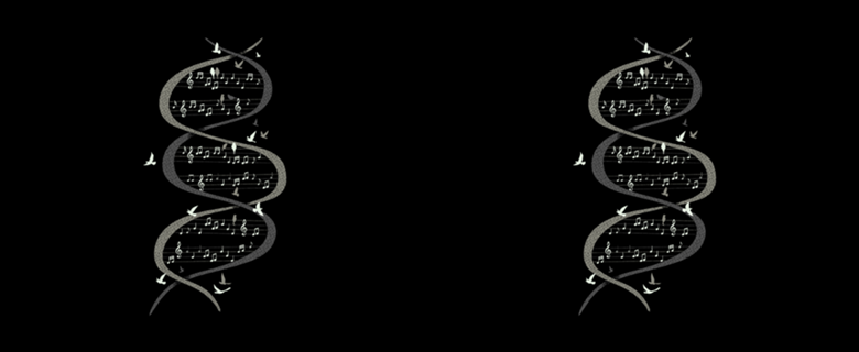 Musical DNA Birds