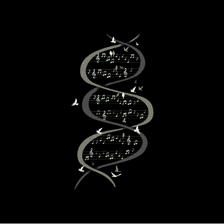 Musical DNA Birds