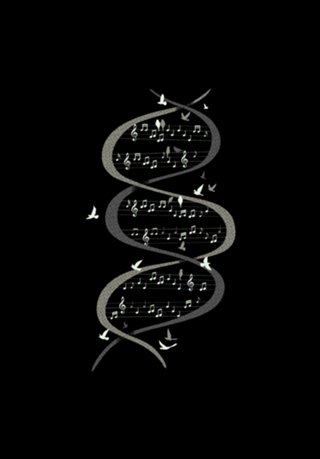 Musical DNA Birds