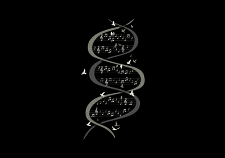 Musical DNA Birds
