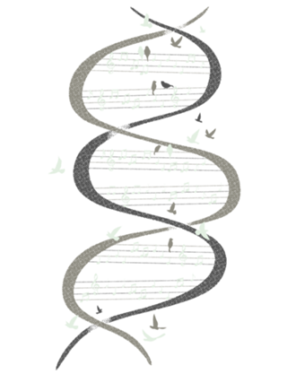 Musical DNA Birds