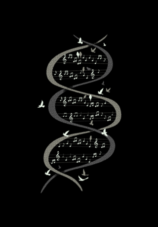 Musical DNA Birds