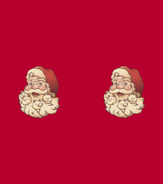 Santa Beard Full of Cats