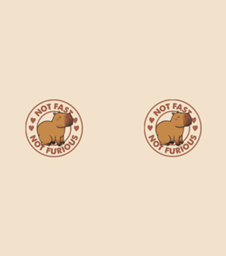 Not Fast Not Furious Capybara