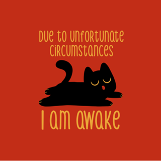 Due to Unfortunate Circumstances I Am Awake