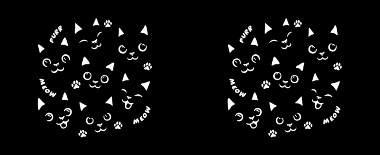 Black Cats In a Black Shirt